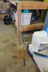 lot 365 image: Lunge Whip and Buggy Whip