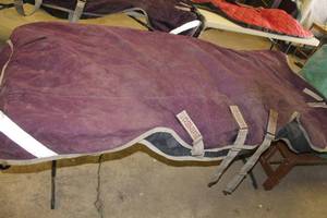 lot 671 image: Rambo Rug Lightweight Blanket Purple 81L