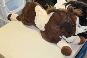 lot 694 image: Horse Plush Stuffed Animal Brown & Tan 22L