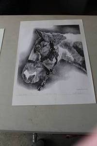 lot 702 image: Ritas Baby  Tasque Verde Ranch by Rochelle Neiderman #130750 Print