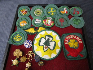 Scout patches (14) and pins (9)...