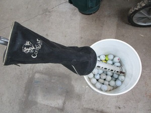 Golf balls - 50, Cougar ball grabb...