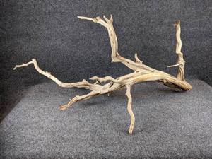 Large Driftwood Branch