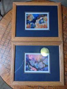 2 Pieces of Framed Fish Art by Richardson and OToole