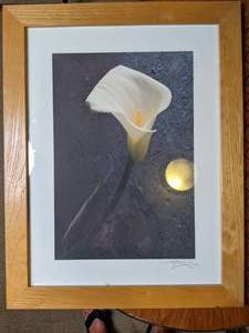 Framed Flower Art by Harvey Edwards