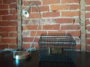 Office desk lamp and organizer