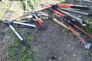 lot 770 image: Lot of (8) Hand Pruners