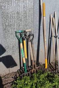 lot 784 image: Lot of (6) Pitch Forks