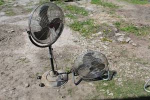 lot 862 image: Lot of (2) Fans  - Xtreme Garage Floor Fan, Dayton Pedestal Fan
