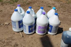 lot 867 image: Lot of (8) Fleet Farm Bleach 1-Gallon Plastic Bottles