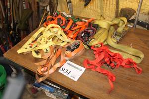 lot 934 image: Lot of Ratchet Straps