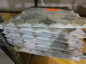 Crushed Sunset Cream 10.75 in. x 11 in. Arabesque Glossy Ceramic and Glass Mosaic Tile (10.6 sq. ft.)
