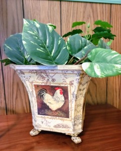 lot 116 image: Fun Home Decor