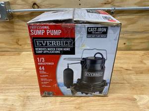 lot 79 image: EVERBILT 13 HP Cast Iron Sump Pump