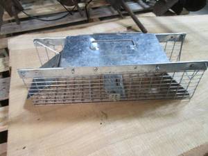lot 502 image: Small Metal Live Trap...