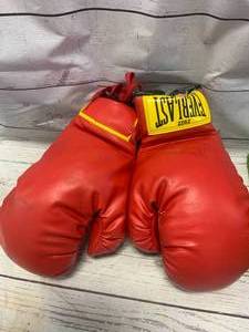 lot 12 image: Everlast Boxing Gloves