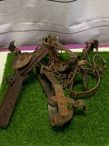 lot 102 image: Lot of Four Animal Traps