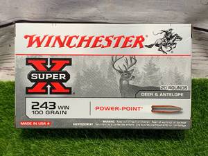 20 Rounds 243 Win Ammo Ammunition 100gr