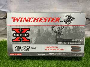 20 Rounds 45-70 GOVT Hollow Point Ammo Ammunition 300gr
