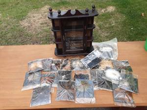 Lot Of Crafted Feather Brooches, Clips & Curio Cabinet