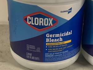 lot 45 image: Clorox Germicidal Bleach