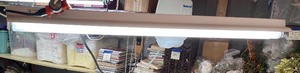 lot 261 image: 4 Foot Fluorescent Light Fixture