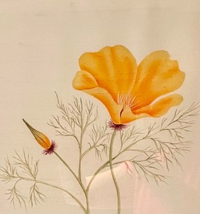 lot 215 image: Debra Falls Paintings on Silk