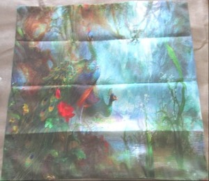 lot 23 image: 3 Peacock Pillow Covers...