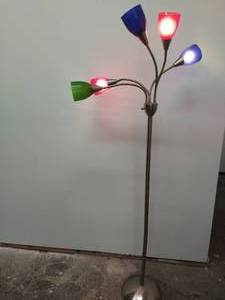 Floor lamp