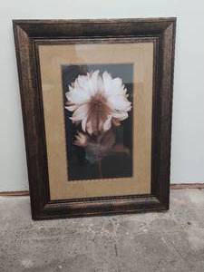 Framed Dahlia 2 By Kelly Art