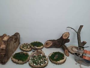 Collection Of Live wood Tree Art And Rope