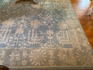 Pottery Barn Esther Printed Beautiful Area Rug