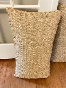 2 Straw Beige Indoor Outdoor Decorative Pillows- Pottery Barn