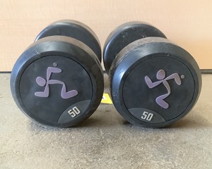lot 145 image: 50 LB Dumbell Pair