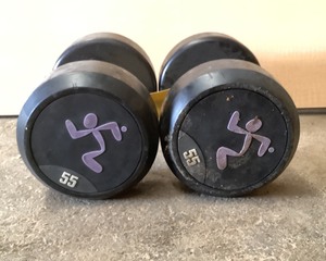 lot 160 image: 55 LB Dumbell Pair