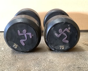 lot 159 image: 75 LB Dumbell Pair
