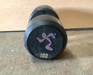 lot 146 image: 100 LB Dumbell