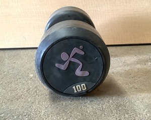lot 147 image: 100 LB Dumbell
