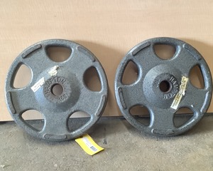 lot 111 image: 100 LB Plate Pair