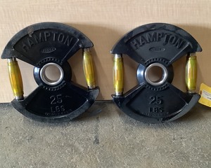 lot 108 image: 25 LB Plate Pair