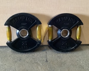 lot 110 image: 25 LB Plate Pair