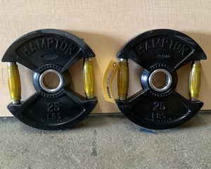 lot 109 image: 25 LB Plate Pair
