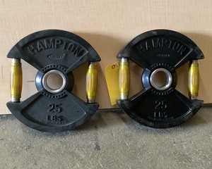 lot 103 image: 25 LB Plate Pair