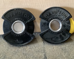 lot 117 image: 2.5 LB Plate Pair