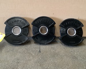 lot 116A image: 5 LB Plates (Qty 3)