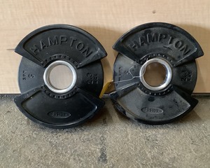 lot 118 image: 5 LB Plate Pair