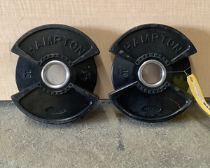 lot 113 image: 10 LB Plate Pair