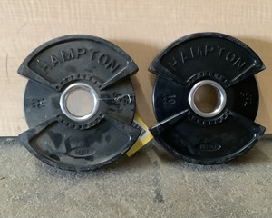 lot 115 image: 10 LB Plate Pair