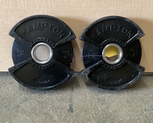 lot 114 image: 10 LB Plate Pair