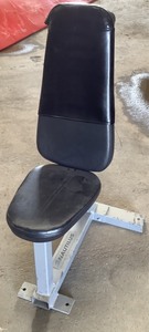 lot 50 image: Nautilus Seated Utility Bench